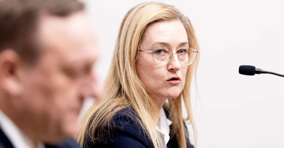 Indrė Gasperė revealed how data thieves connected to the Registry Center from the Migration Department