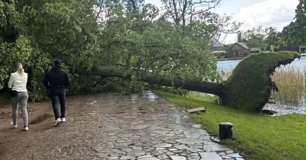 Audra ravaged Trakai and Vilnius: uprooted trees