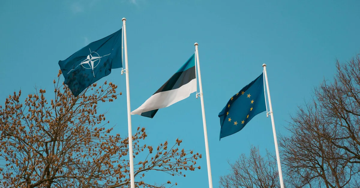 The first drone surveillance systems installed on sections of Estonia's eastern border
