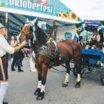 Kaunas "Oktoberfest" draws crowds again: more than half of the tables reserved for the autumn festival