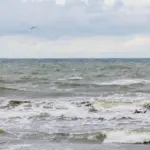 Lithuania together with 16 countries announced a declaration on the protection of underwater critical infrastructure