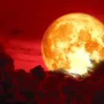 Retrograde Mercury has ended: a particularly successful period begins for 4 Zodiac signs