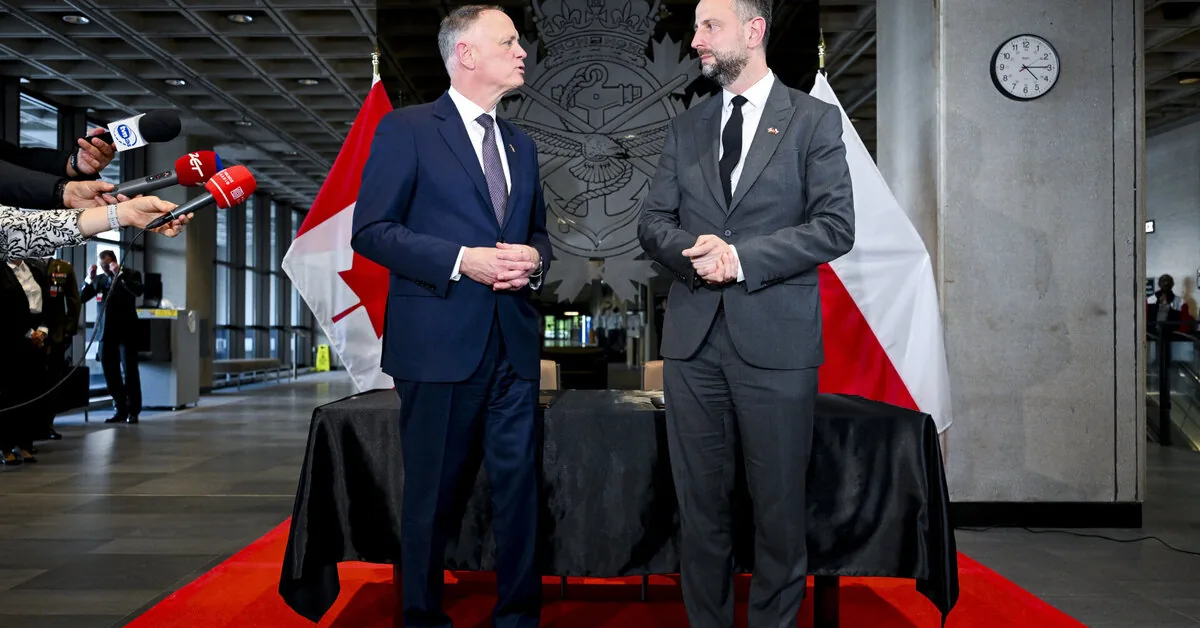Poland and Canada agreed on joint exercises and drone sales