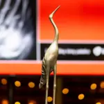 National Film Awards "Silver Cranes" to be Presented in Vilnius