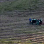 The ministry proposes to extend concessional loans to young farmers and processors