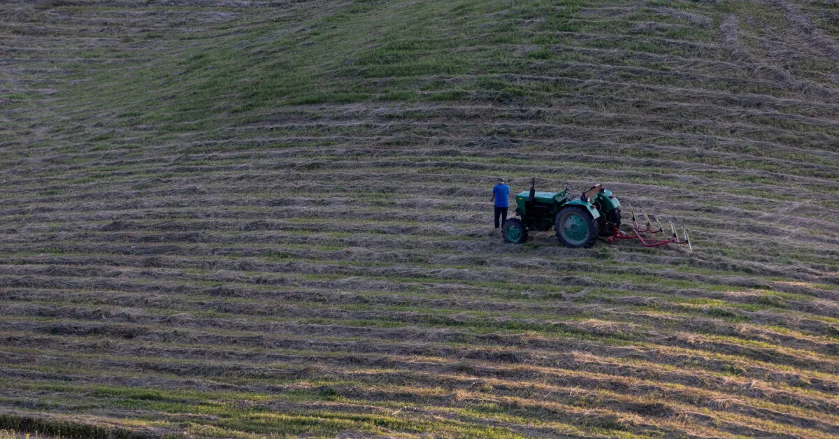 The ministry proposes to extend concessional loans to young farmers and processors