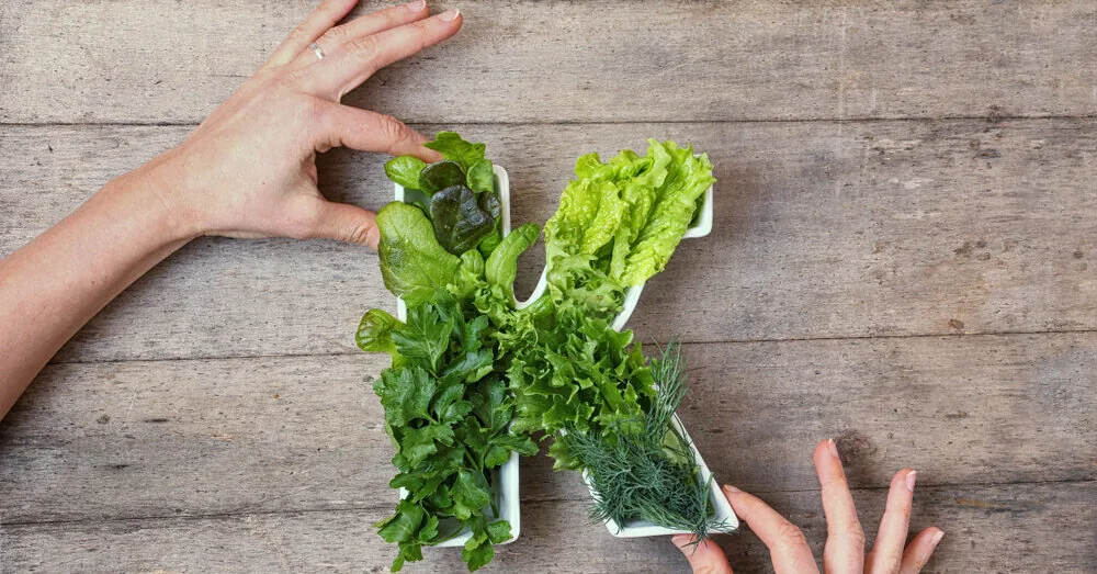 Forgotten vitamin that protects against dementia and heart attack: where is it abundant?