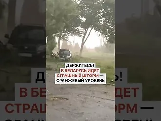 Strong winds are raging in Lithuania: trees are breaking, a stormy night awaits
