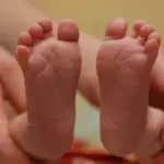 Government – for the unification of the duration of maternity benefits