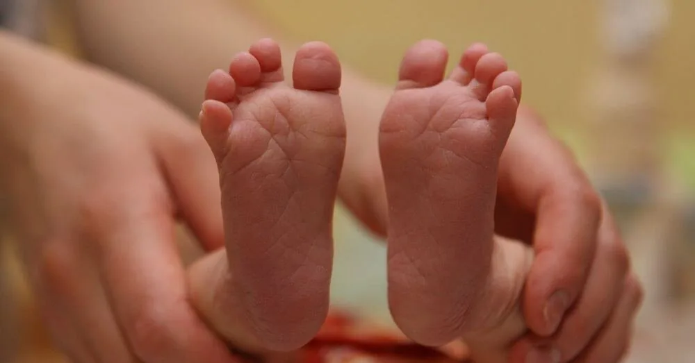 Government – for the unification of the duration of maternity benefits