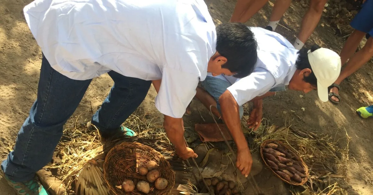 Genetic mutation in Peru: Andean inhabitants developed a kind of "superpower" due to potatoes