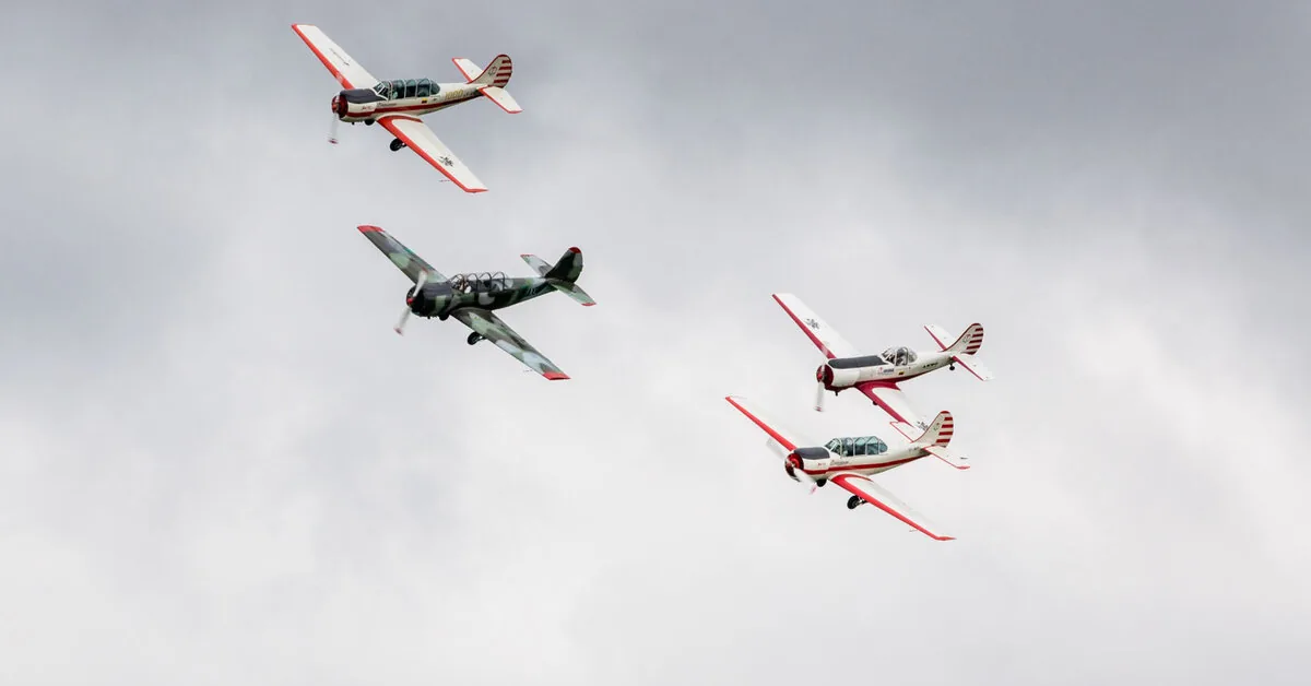 At the Aviation Festival in Tauragė – acrobatic performances, vintage aircraft parade