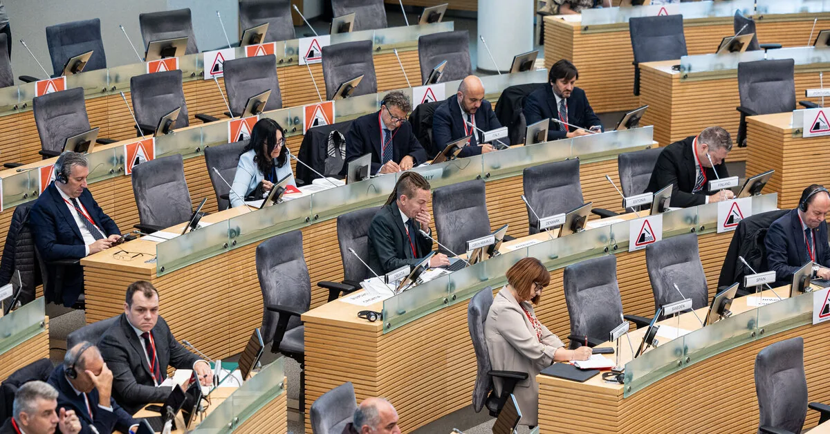 Ekonominio saugumo centro vadovė: pasaulis balansuoja ant bedugnės krašto
