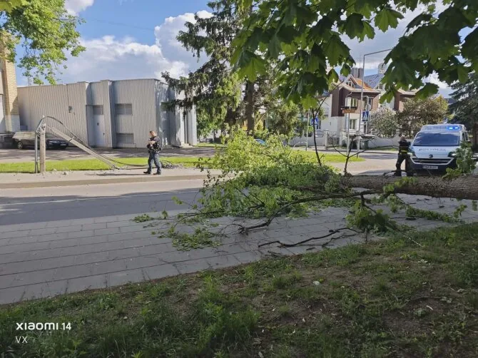 15min reader's photo/Storm in Vilnius, Žvėrynas, toppling trees