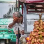 India is being pierced by a heat wave: the prime minister says it is "cruel for all of us"