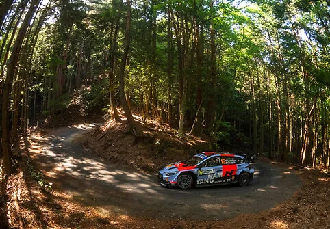 WRC, Japan stage
