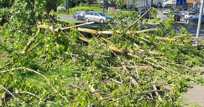Tree-breaking wind, rain, hail: after stormy weather, summer warmth is coming to Lithuania