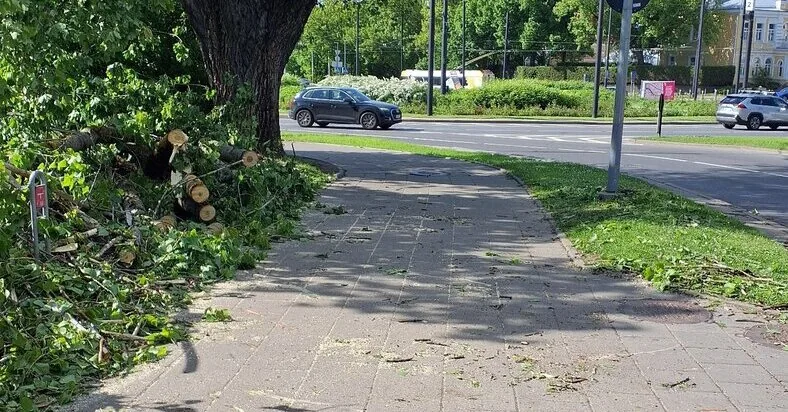 Meteorologists warn: dangerous strong wind gusts in parts of Lithuania