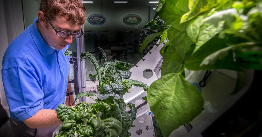 Is it possible to grow food on Mars? Scientists suggest an unexpected solution
