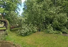 The storm devastated Trakai