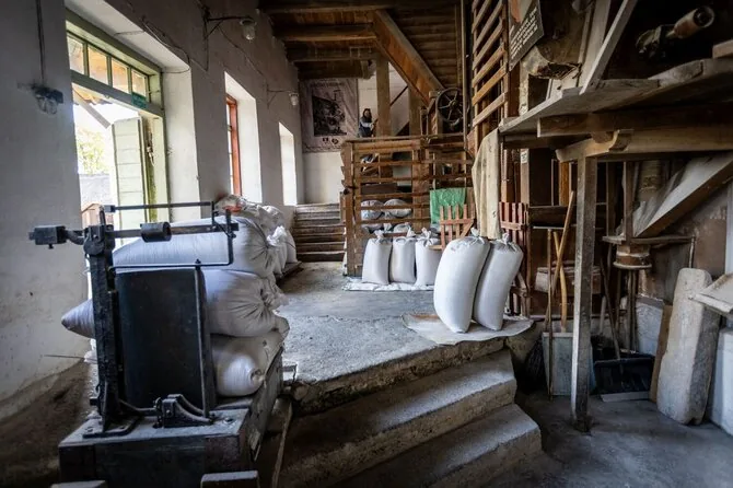 Vidmantas Balkūnas / 15min photo / Ramygala (Panevėžys district) mill and miller Jonas Plučys