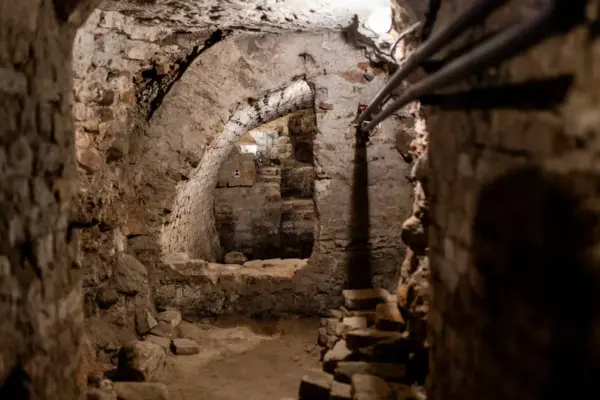 Working group: before undertaking a physical search for the remains of Vytautas the Great, it is necessary to conduct other studies