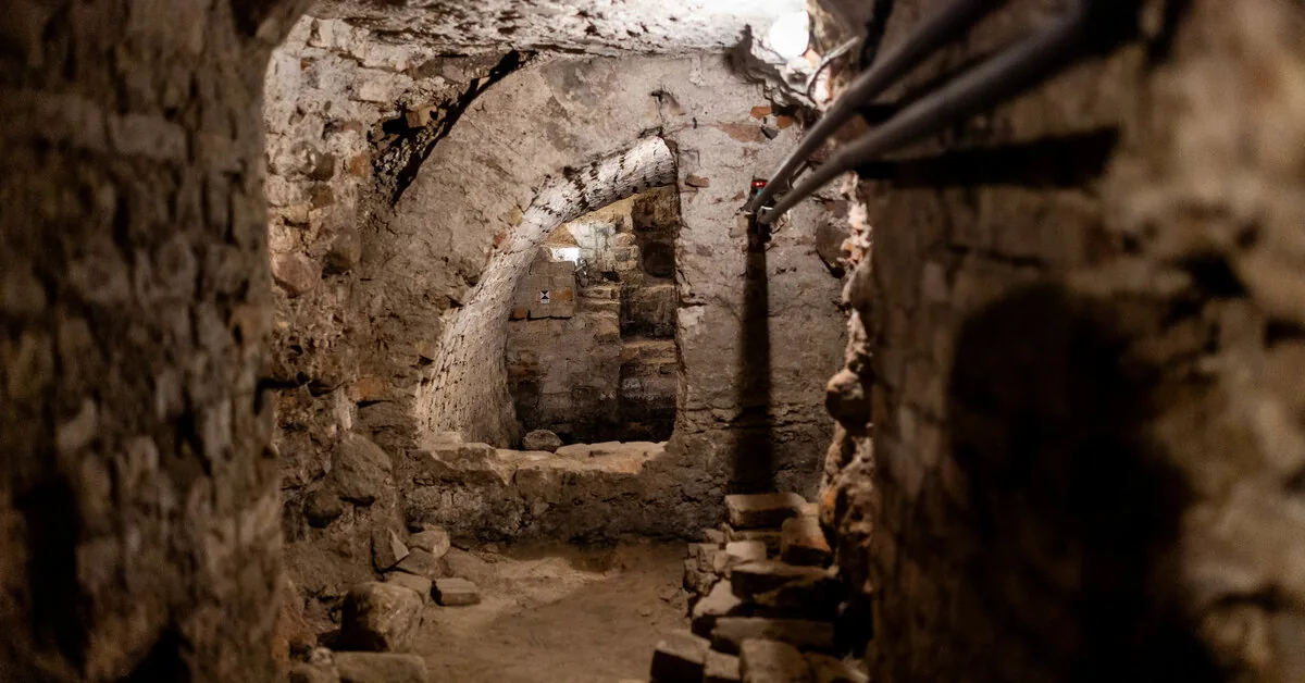 Working group: before undertaking a physical search for the remains of Vytautas the Great, it is necessary to conduct other studies