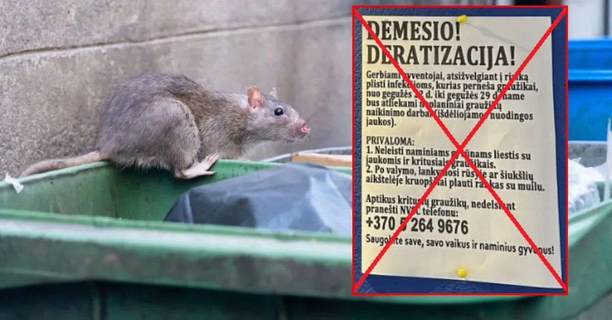 Brazen AI forgery: lies about rodents being poisoned in Vilnius spread on social networks