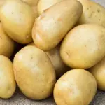 Potato season has started: how not to be fooled when buying "Lithuanian" potatoes