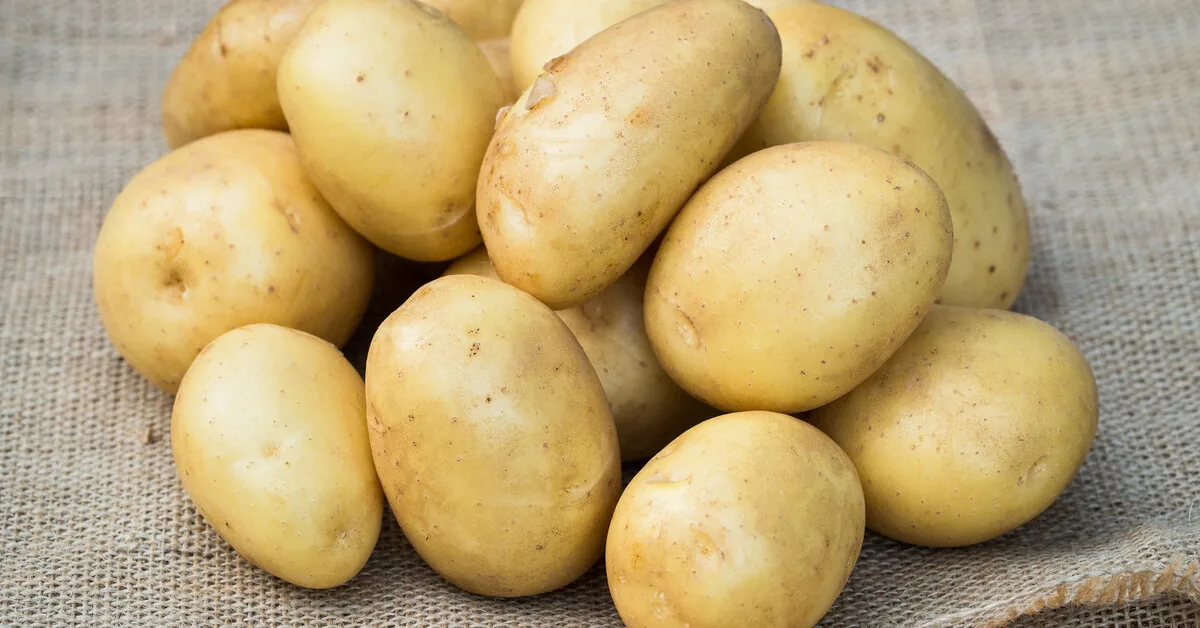 Potato season has started: how not to be fooled when buying "Lithuanian" potatoes