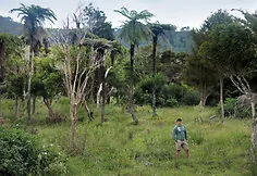 Aurimas Valujavičius in New Zealand