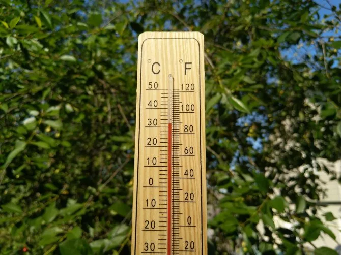 Valdemaras Šukšta / 15min photo / Heat