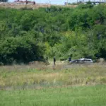 Four people died in a plane crash in Croatia