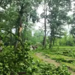 Announces the consequences of the recent storm: sends an important message to residents