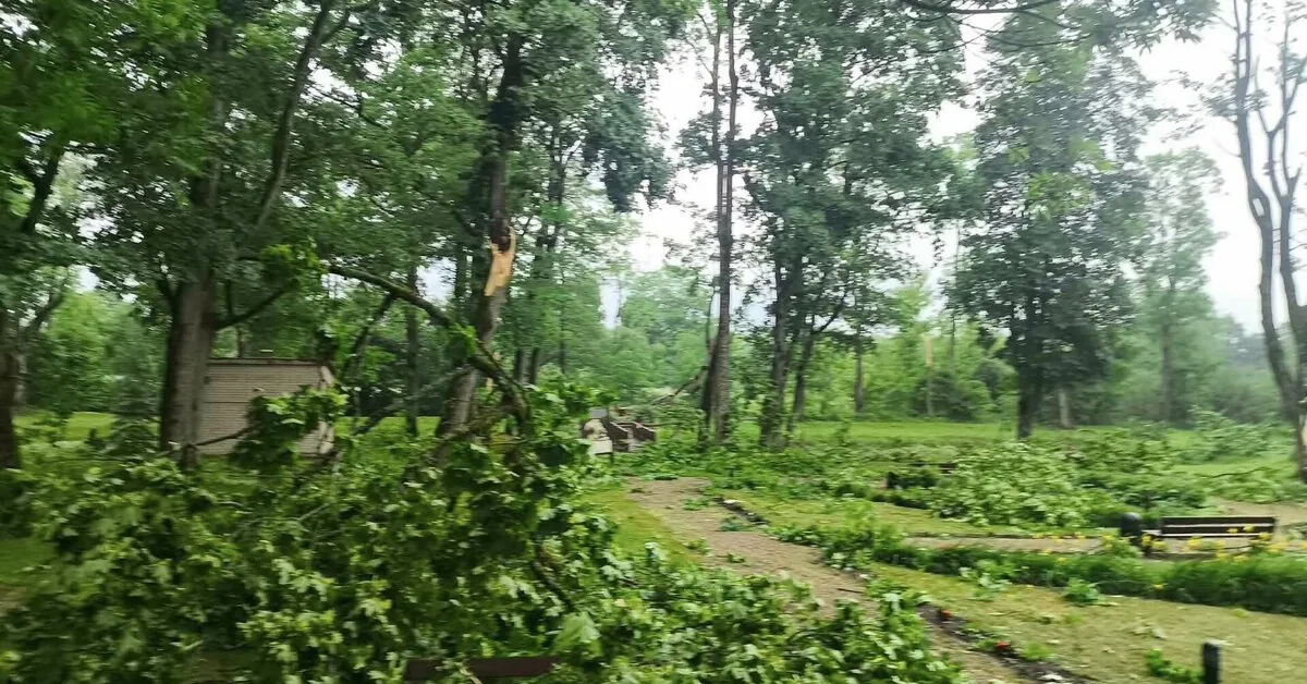 Announces the consequences of the recent storm: sends an important message to residents