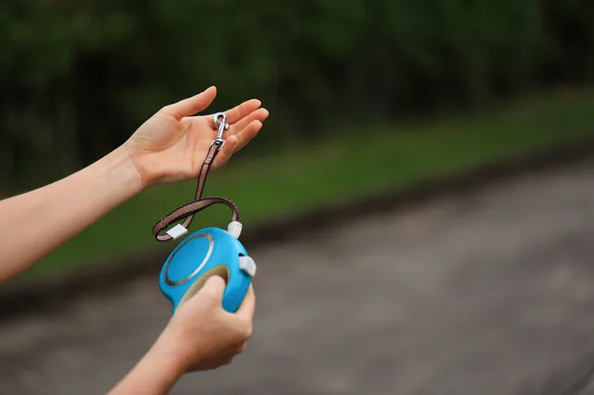 Shutterstock photo/Dog leash