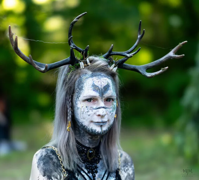 Mariaus Jackevičiaus/BNS ir Dariaus Juodkos/BNS nuor./Wave-Gotik-Treffen muzikos festivalis