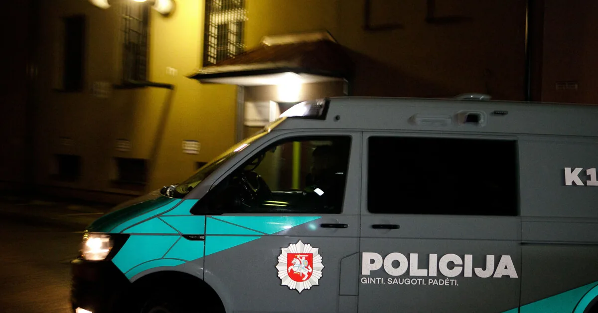 Tragic accident in Alytus: woman hit on a pedestrian crossing died in hospital