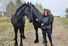 "Horse Oasis", Ramunė Radavičienė