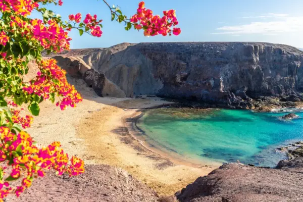 Blow to the Canary Islands: tourists are leaving Tenerife, Gran Canaria, and Lanzarote