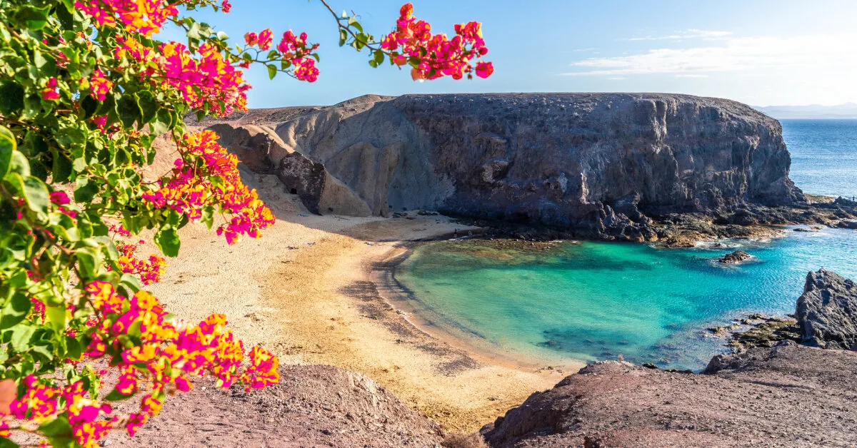 Blow to the Canary Islands: tourists are leaving Tenerife, Gran Canaria, and Lanzarote