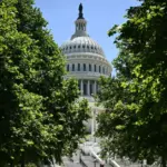 Due to Donald Trump's chosen intelligence chief, the US Senate blocked the renewal of the intelligence program