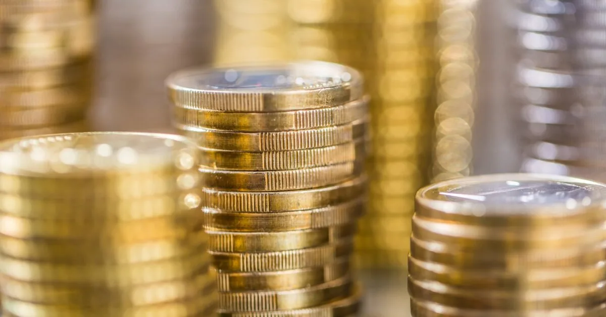 After checking two e-money companies, the Bank of Lithuania imposed fines on them: revealed what violations were found