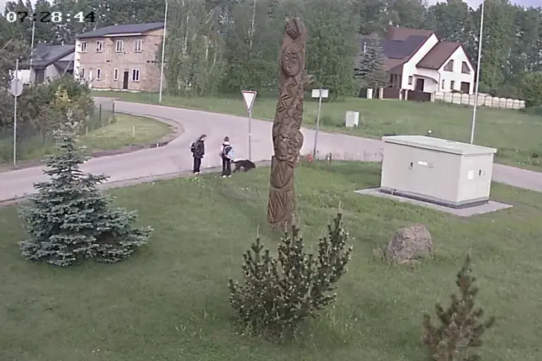 Videokadras/Neveronių gyventojų šunytė Vėtra prieš įvykį