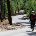 Neringa's mayor after the death of a cyclist who crashed into a tree: "There will be changes"