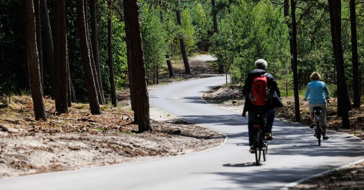 Neringa's mayor after the death of a cyclist who crashed into a tree: "There will be changes"