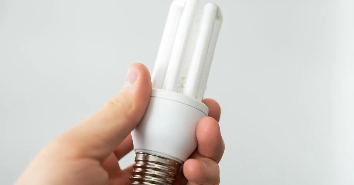 Seimas is inclined to oblige independent electricity suppliers to terminate certain contracts