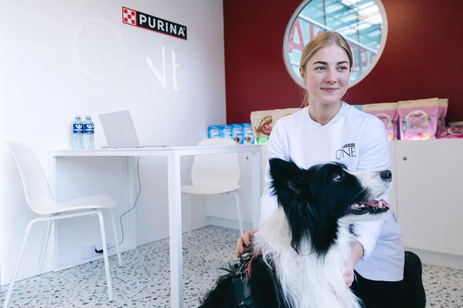 „SOS GYVŪNŲ“ nuotr./Šlapios nosytės ir vasaros nuotykiai: SOS GYVŪNAI kviečia į vasaros šventę!