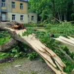 „I want to cry“: Antanavas residents horrified by what the tornado did