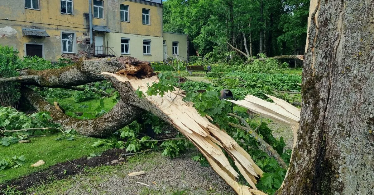 „I want to cry“: Antanavas residents horrified by what the tornado did